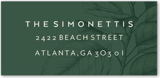 Address Labels: Classic Noel Address Label, Green, Address Label, Matte