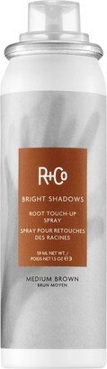 Bright Shadows Root Touch Up Spray - Medium Brown