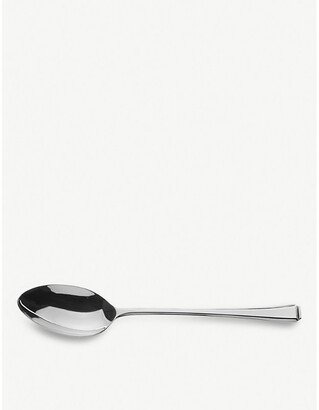 Steel Harley Stainless Steel Serving Spoons