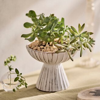 Ridged Pedestal Ceramic Planter-AA