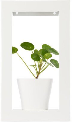 White Portrait Growframe Planter