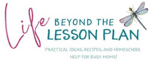 Life Beyond The Lesson Plan Promo Codes & Coupons
