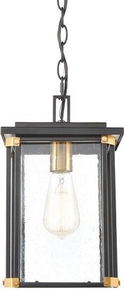 Elk Home Vincentown Outdoor Pendant Light