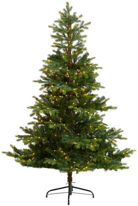 North Carolina Spruce Artificial Christmas Tree with 350 Clear Lights and 631 Bendable Branches, 6'