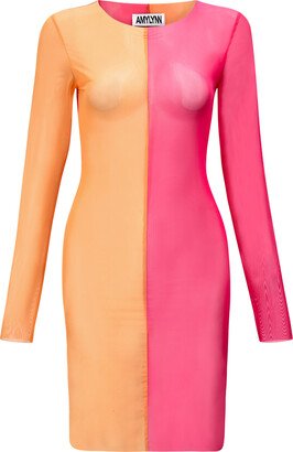 Gemini Colour Block Sheer Mesh Dress