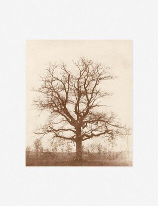 Lulu and Georgia Oak Tree Print by William Henry Fox Talbot