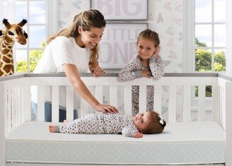 BeautySleep Spring Grove 2-Stage Crib or Toddler Mattress