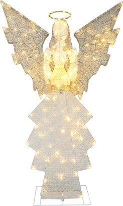 Puleo Outdoor Lighted Angel with 140 Lights, 60