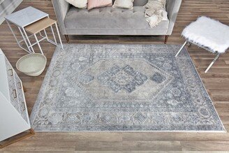 Emali EA10A Greywash Vintage Farmhouse Gray Area Rug,