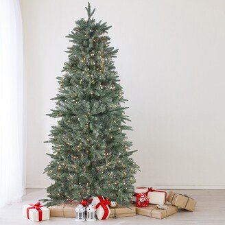 Northlight Real Touch™️ Pre-Lit Slim Washington Fraser Fir Artificial Christmas Tree - 10' - Clear Lights