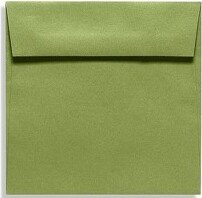 6 1/2 x 6 1/2 Square Envelopes 2 11/16 x 3 11/16 Avocado EX8535-27-50