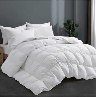 Ultra-Soft All-Season Comforter