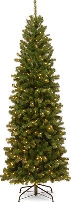 National Tree Company 6.5Ft North Valley Spruce Pencil Slim Tree