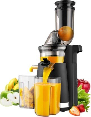 Slow Juicer Cold Press for Fruits & Vegetables
