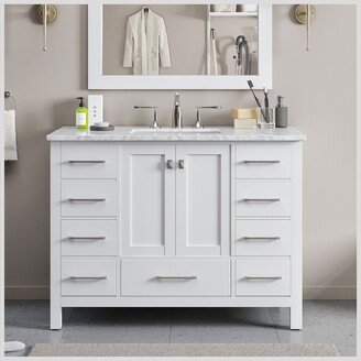 Aberdeen 48 White Transitional Bathroom Vanity w/ White Carrara Top