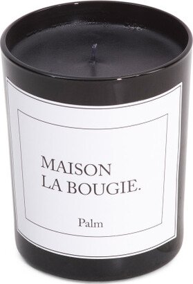 6.7oz Palm Candle