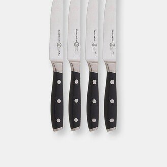 Avanta Fine 4 Piece Edge Steak Knife Set