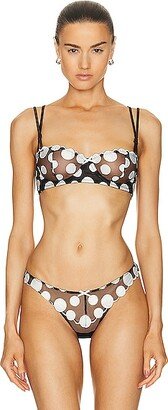 Polka Dot Embroidery Balconette Bra in Black