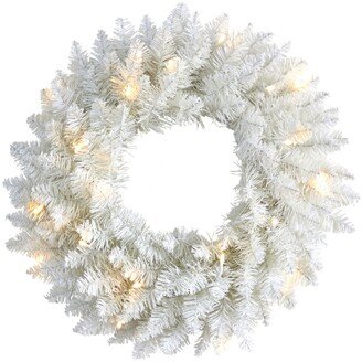 Colorado Spruce Artificial Christmas Wreath with 129 Bendable Branches and 20 Warm Led Lights, 18