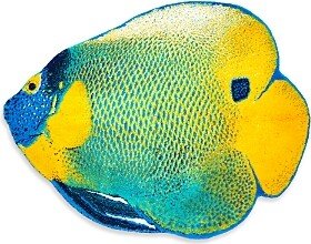 Angelfish Bath Rug - 100% Exclusive