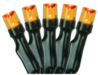 Northlight Set of 20 Battery Operated Orange Led Wide Angle Christmas Lights - Green Wire