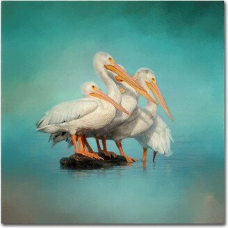 Jai Johnson 'We Are Family White Pelicans' Canvas Art - 35 x 35 x 2