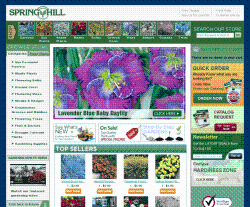 Spring Hill Promo Codes & Coupons