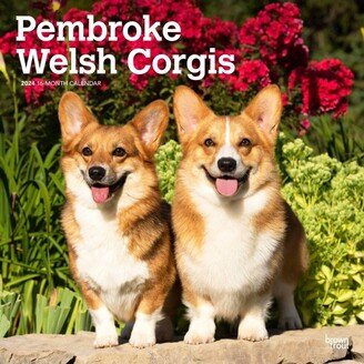 Browntrout 2024 Wall Calendar 12x12 Pembroke Welsh Corgis