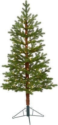 Fairbanks Fir Artificial Christmas Tree with Lights and Bendable Branches, 60