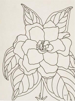 Moira Hershey Gardenia Line Drawing Crop Canvas Art - 36.5 x 48
