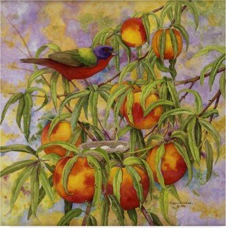 Marcia Matcham Painted Bunting and Peaches Canvas Art - 27 x 33