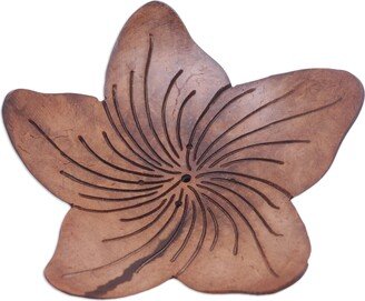 Handmade Hibiscus Home Coconut Shell Soap Dish - Brown