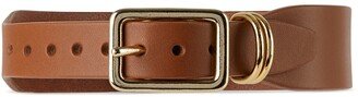 Fantastical Creatures Club Brown Little Promise Collar