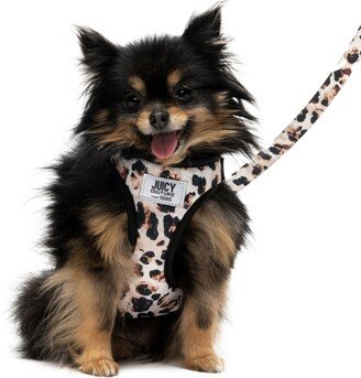 2-Piece Harness Leash Set, Medium