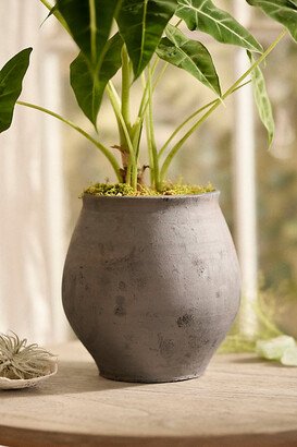 Cooper Rounded Planter