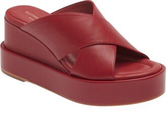 Pina Platform Wedge Slide Sandal