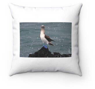 Blue Footed Booby Pillow - Throw Custom Cover Gift Idea Room Decor