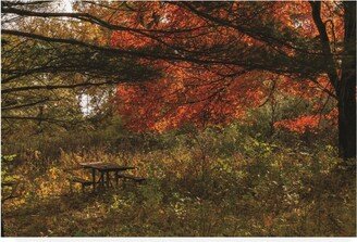 Kurt Shaffer Photographs Lovely spot for an Autumn picnic Canvas Art - 19.5 x 26