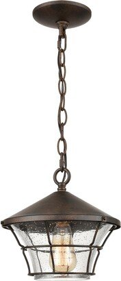 Artistic Home & Lighting Artistic Home Gavin 10'' Wide 1-Light Outdoor Pendant