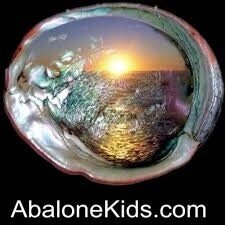Abalone Allure Jewelry Promo Codes & Coupons