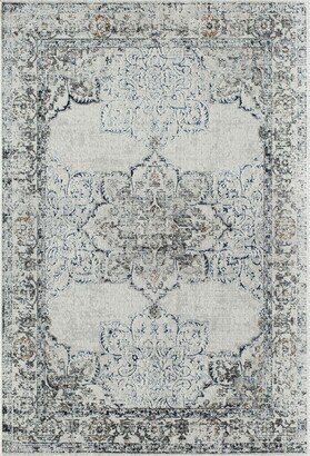 Preston PS35C White Bay Blossom Transitional Vintage Gray Area Rug, 8'0X10'0