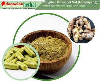 Capsule Of Pure Bitter Ginger/Pinecone Wild | Zingiber Zerumbet Val