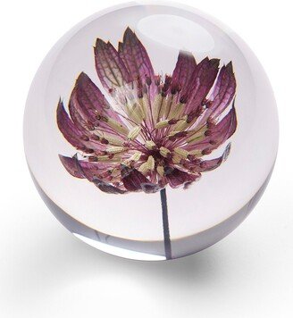 In Flore Blume Paperweight, 8 cm, Purple