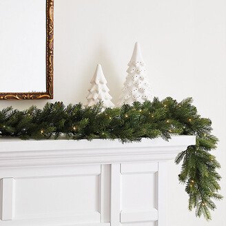 Prelit Grandis Fir Garland