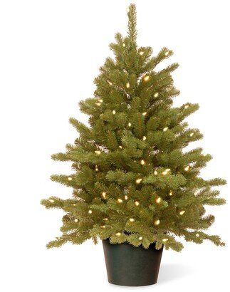 National Tree Company National Tree 3' Feel Real(R) Hampton Spruce Small Wrapped Tree in Growers Pot with 100 Clear Lights