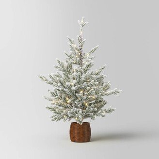 40 Pre-lit LED Glitter Flocked Balsam Fir in Basket Mini Artificial Christmas Tree Warm White Lights - Wondershop™