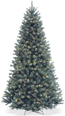 National Tree Company 6.5' North Valley Blue Spruce Tree With 500 Clear Lights