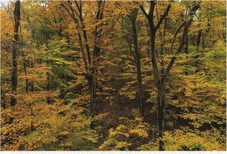 Kurt Shaffer Photographs The beauty of November in Ohio Canvas Art - 27 x 33.5