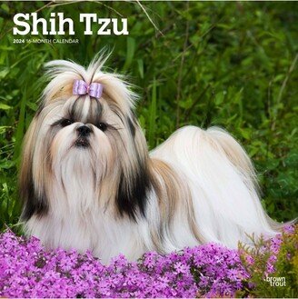 Browntrout 2024 Wall Calendar 12x12 Shih Tzu Dog