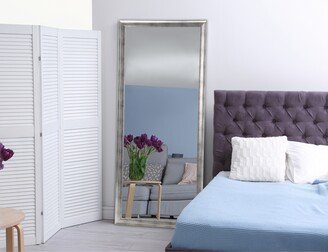 BrandtWorks Modern Brushed Silver Floor Mirror - Silver Grain